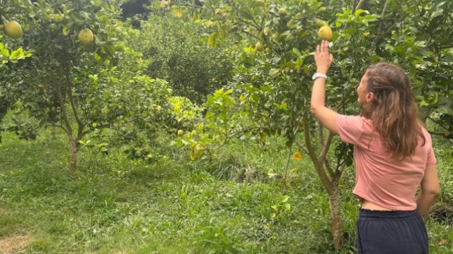 Entre limones: experiencia ecológica y gourmet en Cantabria