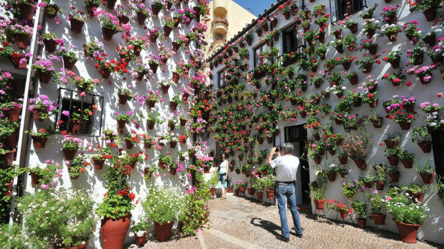 Sentir los Patios de Córdoba